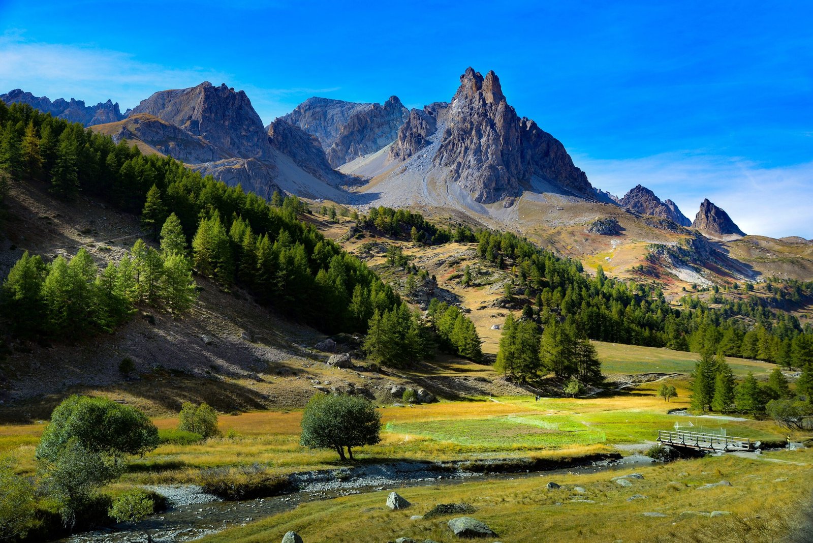 High mountains and hills covered with forests