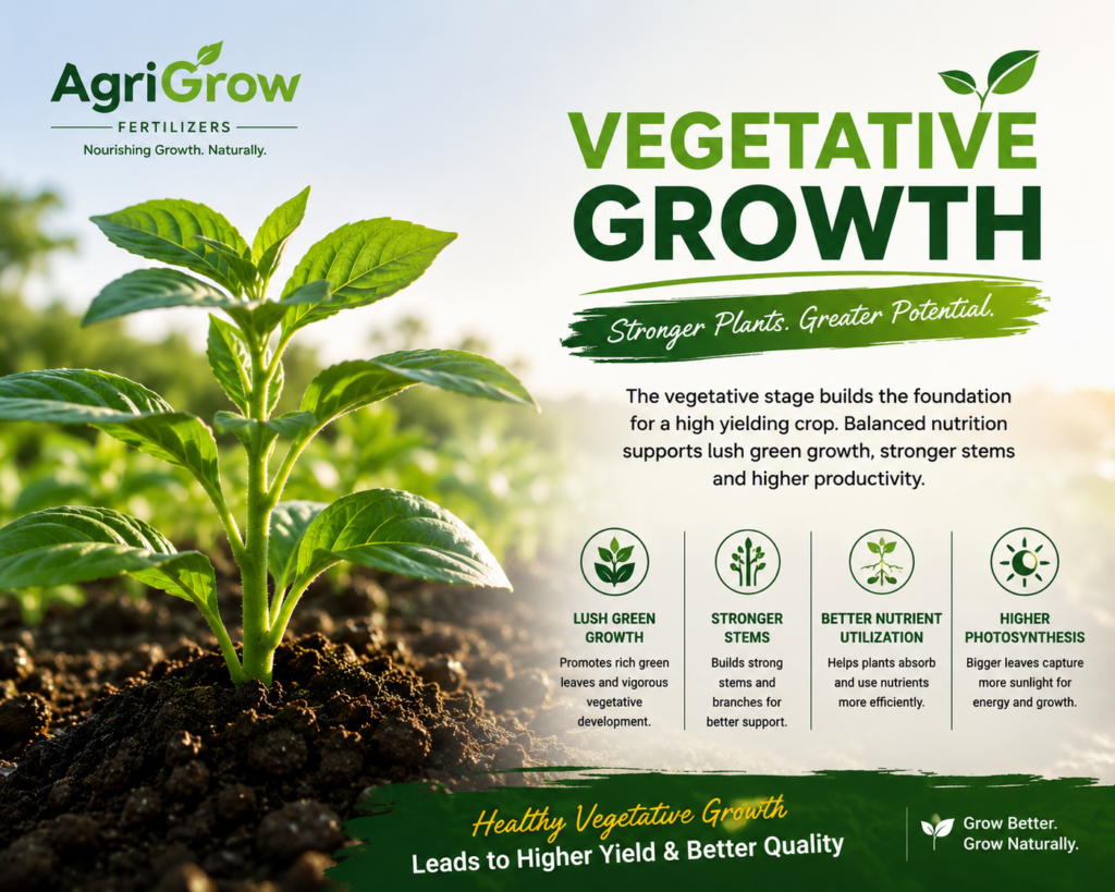 organic fertilizers for crops